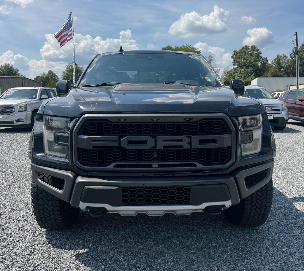 2019 Ford F-150 Raptor - Photo 8