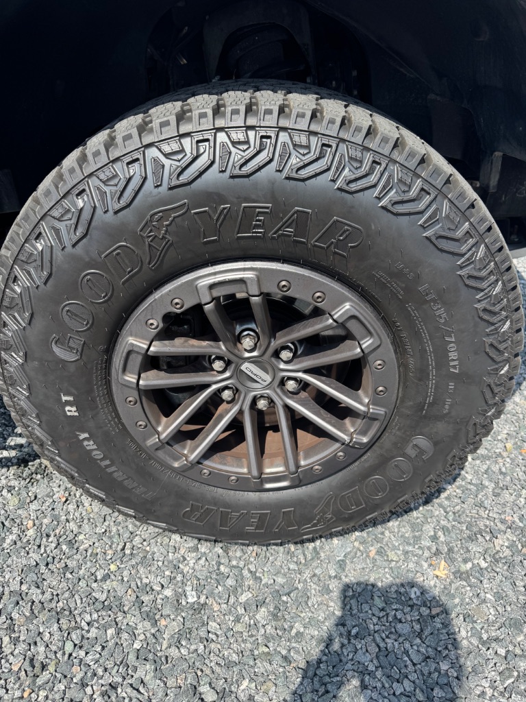 2019 Ford F-150 Raptor - Photo 12
