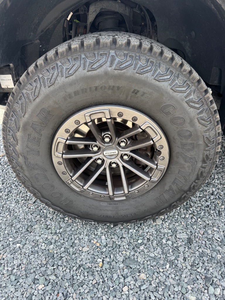 2019 Ford F-150 Raptor - Photo 9
