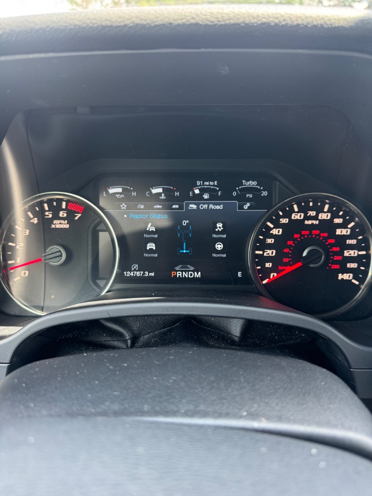 2019 Ford F-150 Raptor - Photo 14