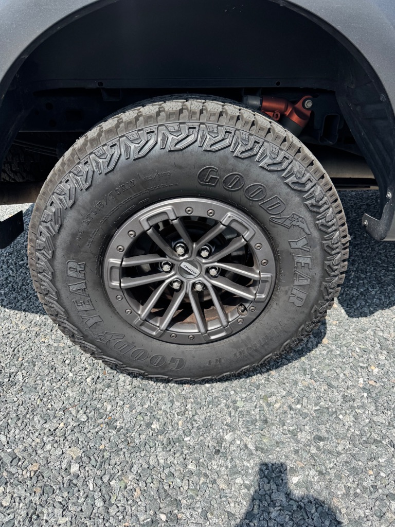 2019 Ford F-150 Raptor - Photo 11