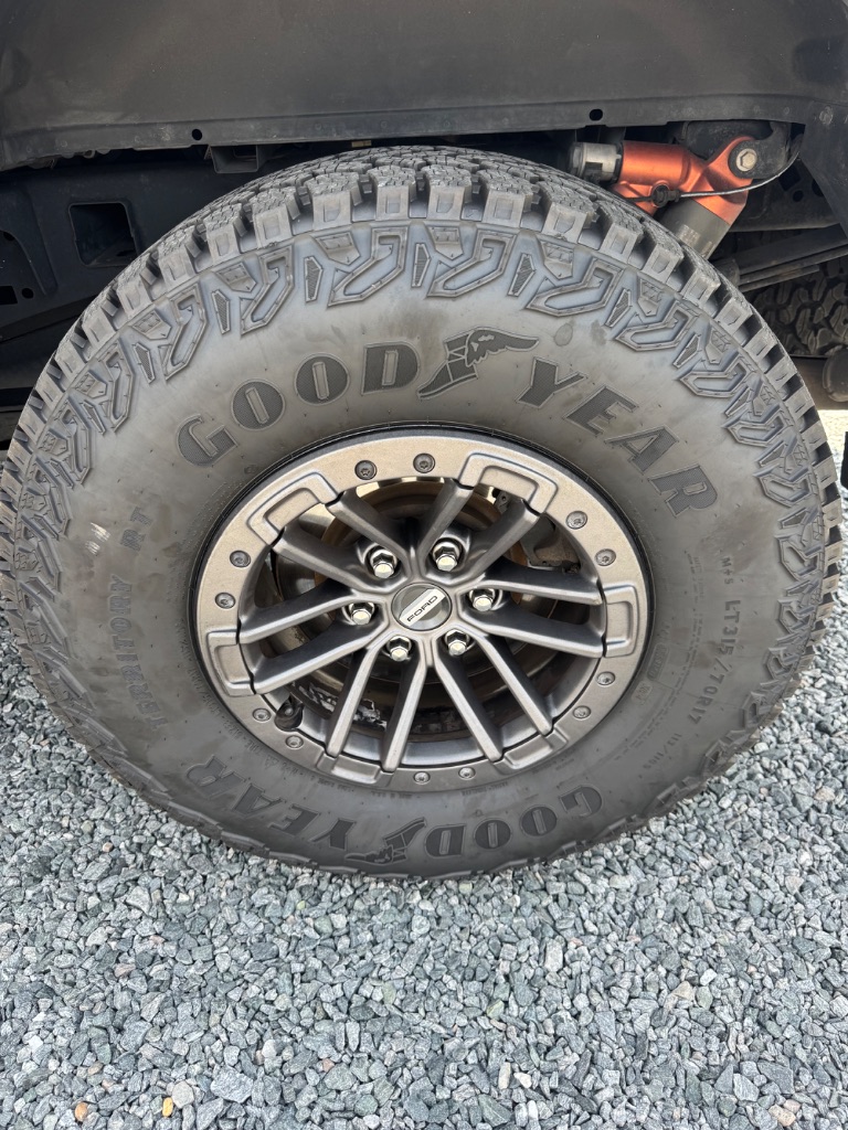 2019 Ford F-150 Raptor - Photo 10